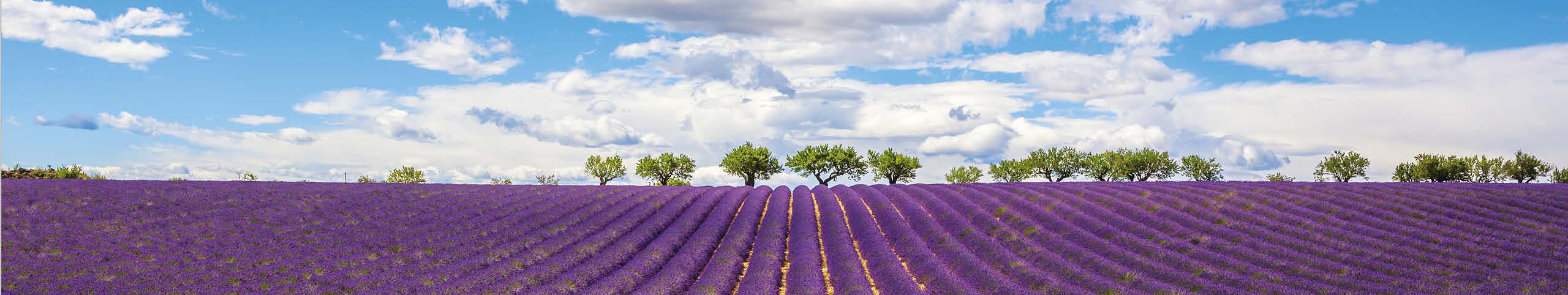 Banner Provence - Frankrijk